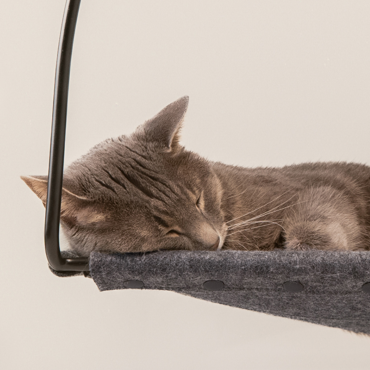 Cloud Nine Window Hammock