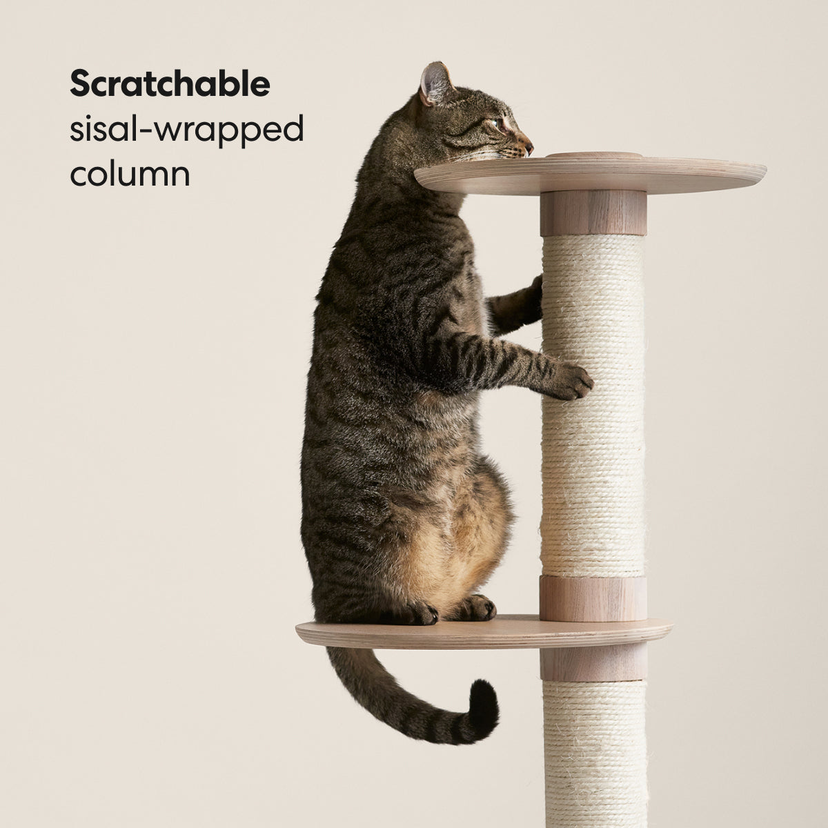 Frond Cat Tree