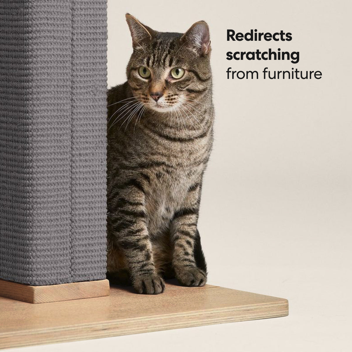 Zip Scratching Post