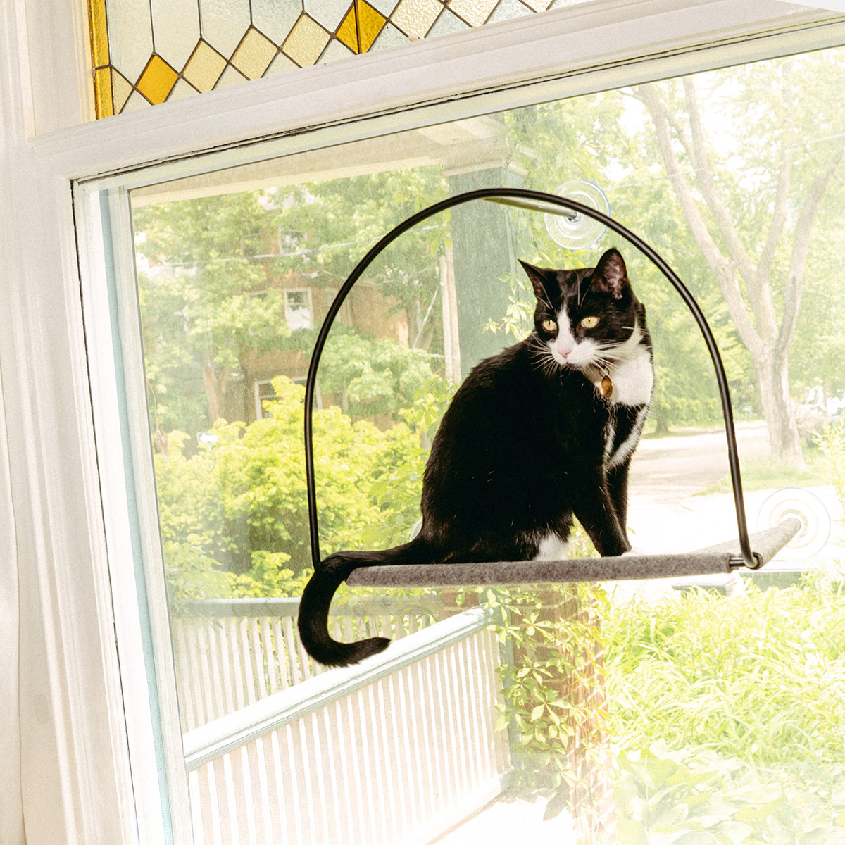 Cloud Nine Window Hammock