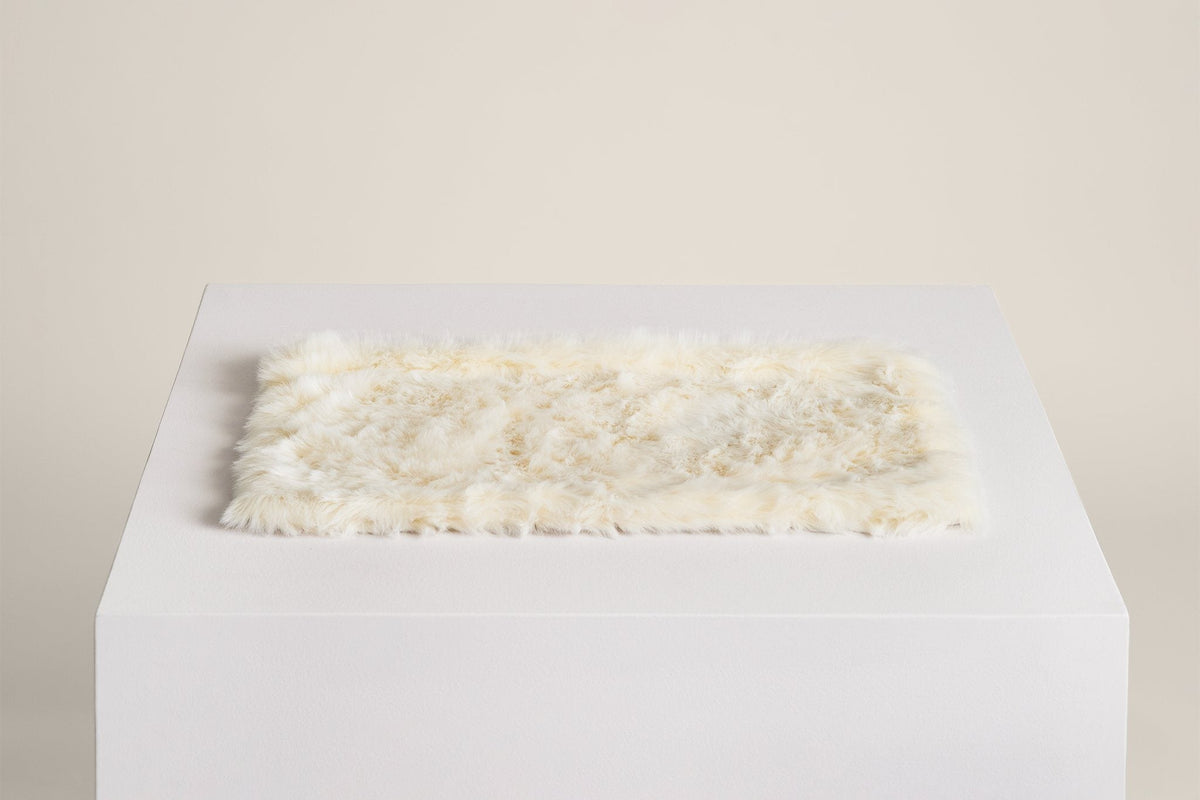 Floof Cat Blanket