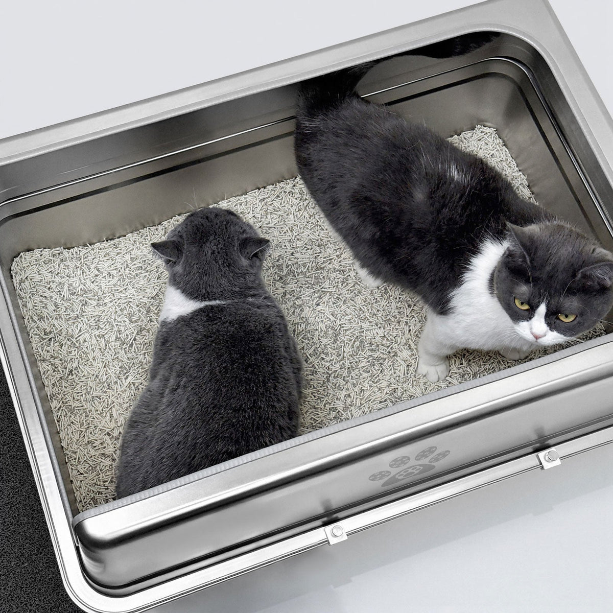 PawMint - Extra-Large XXL