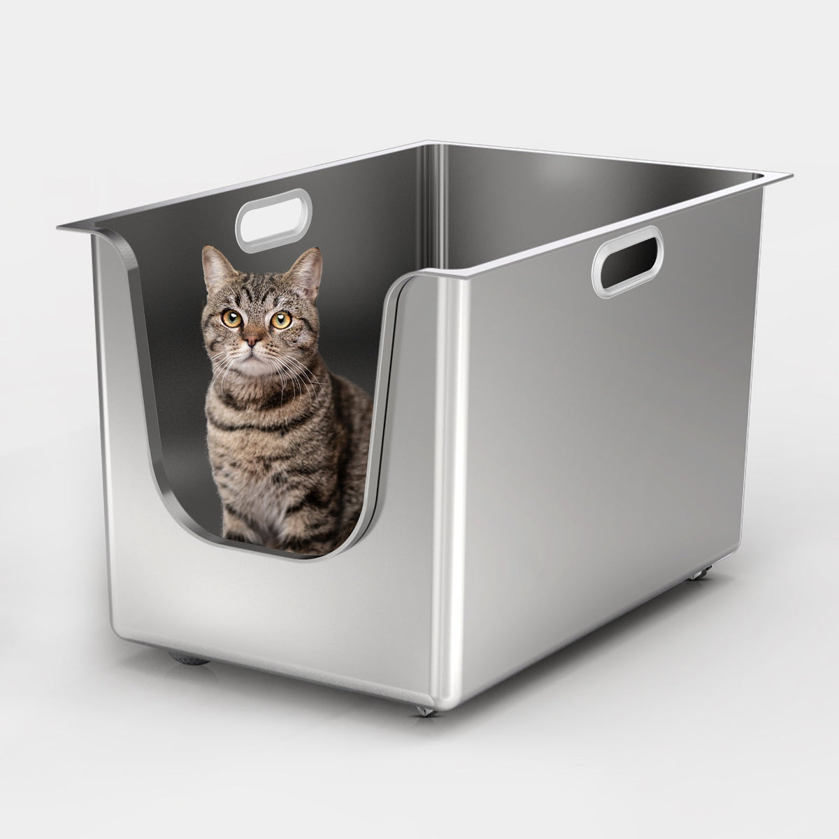 PawMint 13.7'' High-Sided  - Front Entry - XL