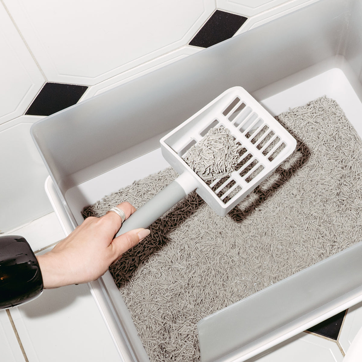Litter Box Scoop