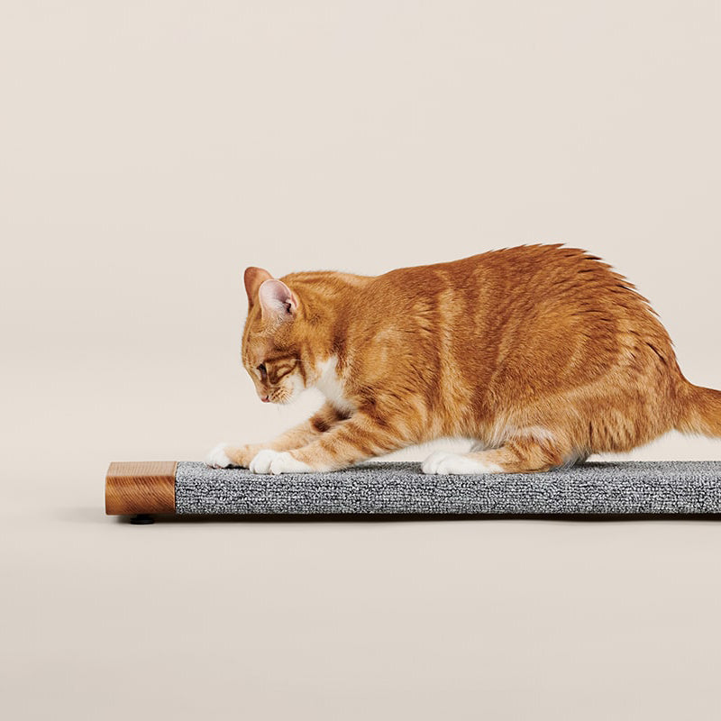 Tab Scratching Board