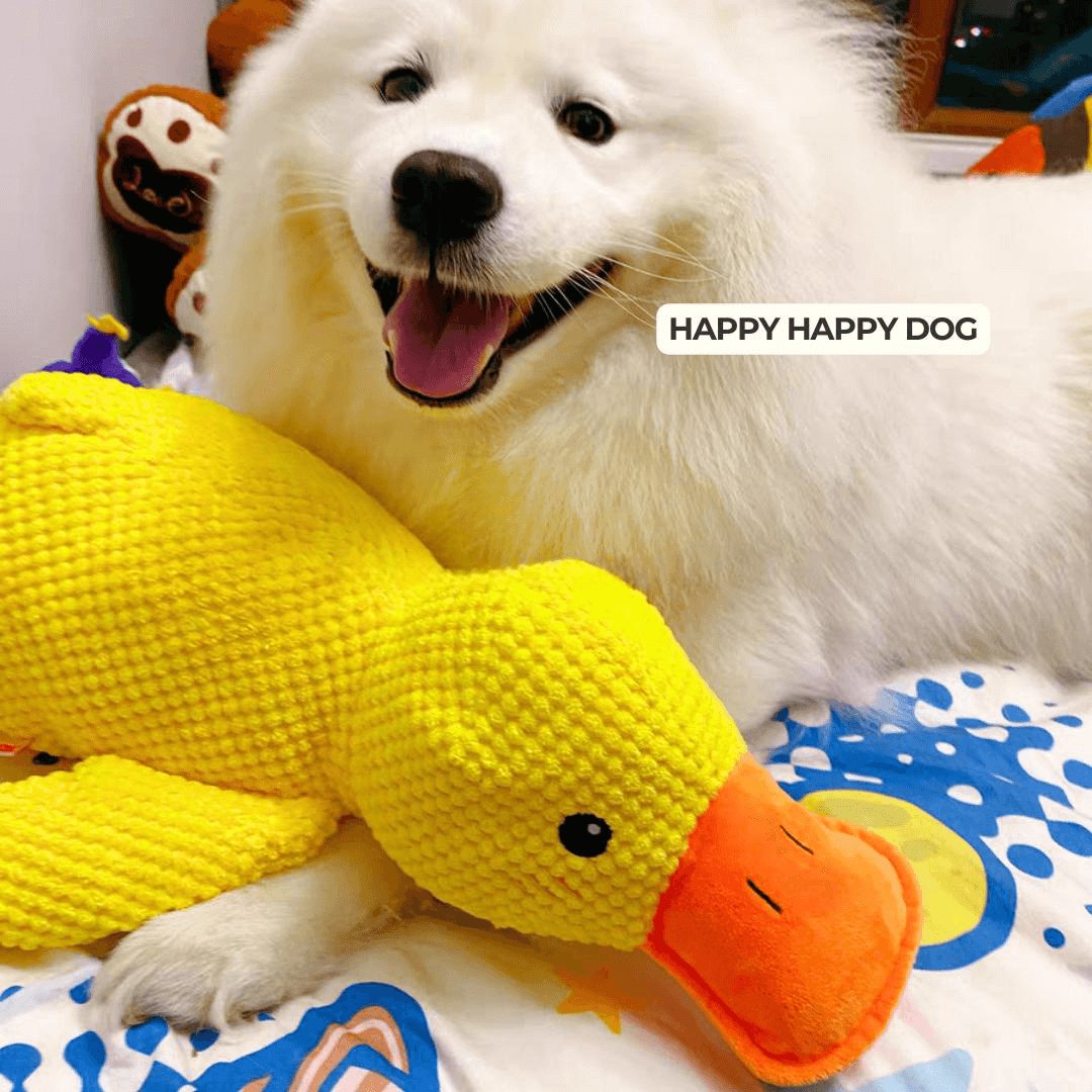 Calming Duck Toy by Pawmint®