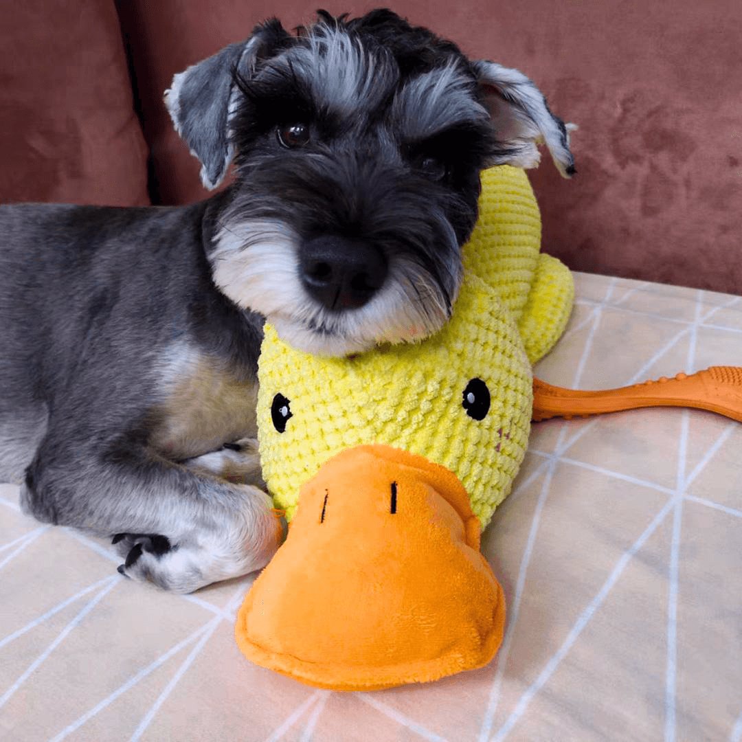 Calming Duck Toy by Pawmint®