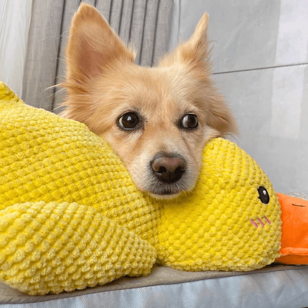 Calming Duck Toy by Pawmint®